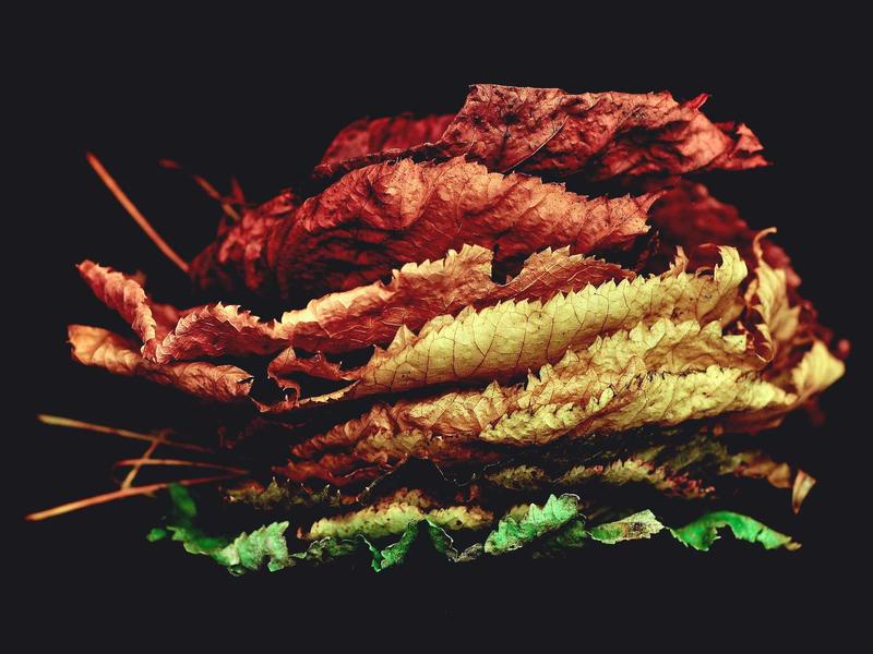 徒步冈仁波齐<br>kclfxfu.cn 转山转水转佛塔